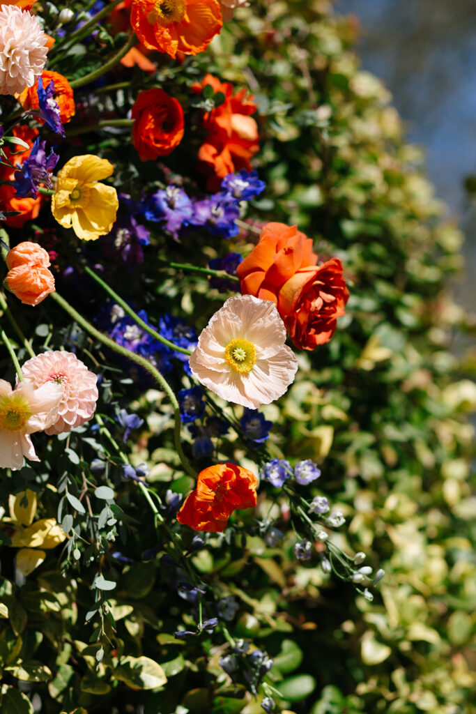 Poppies and other vibrant flowers on the garden wedding arch at Hummingbird House Austin